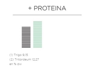proteina
