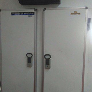 camara fermentacion controlada segunda mano mondial forni